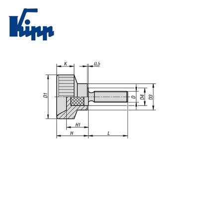 Knurled screws plastic K0141.08X25